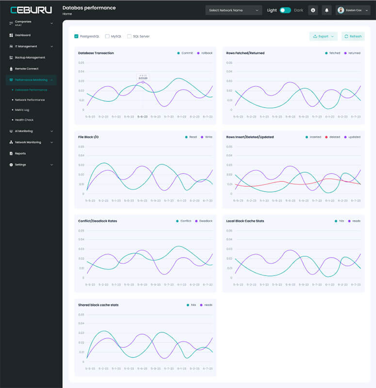 Ceburu Database Performance