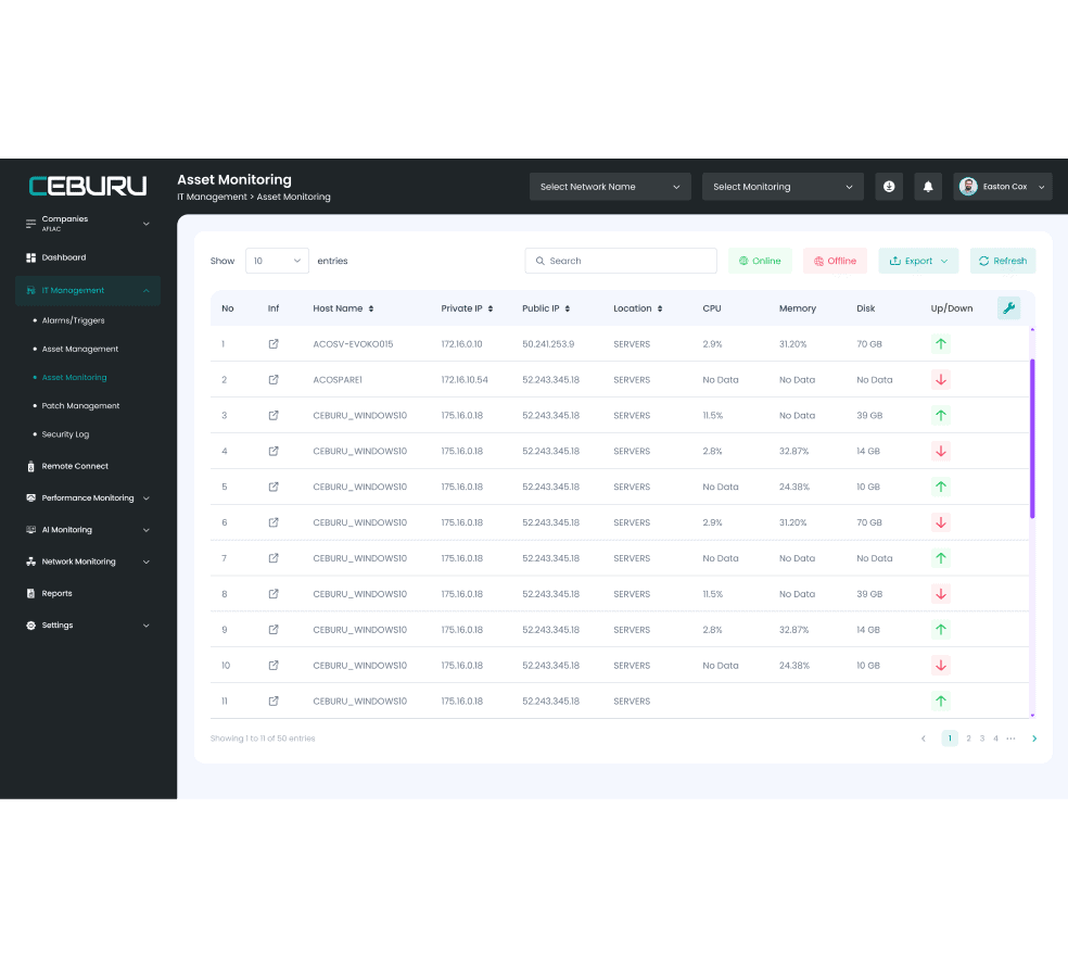 Ceburu's Asset Monitoring