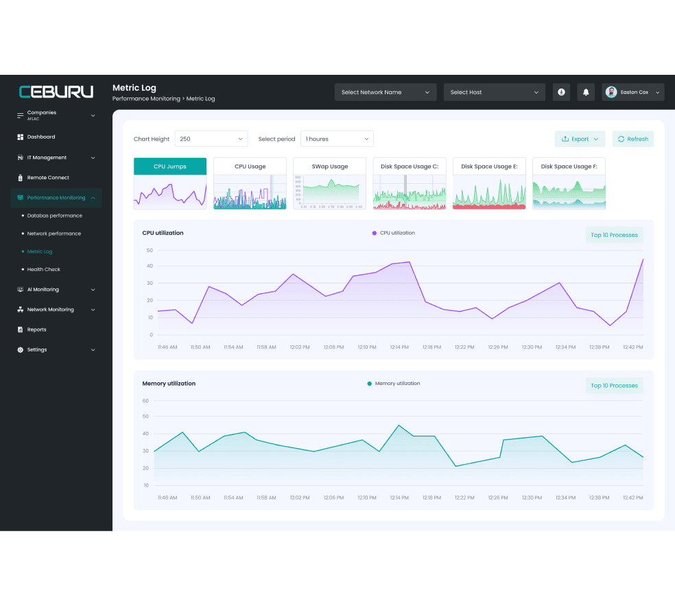 Ceburu's Metric Logs