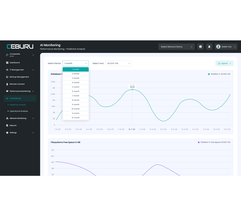 Ceburu's AI Monitoring