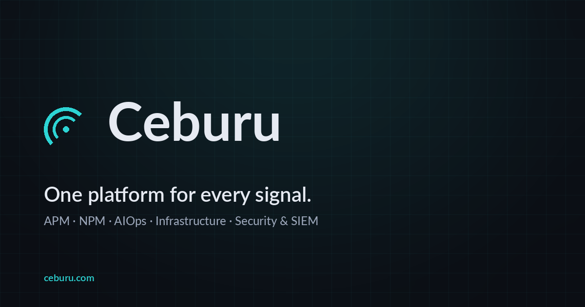 Ceburu Systems Inc